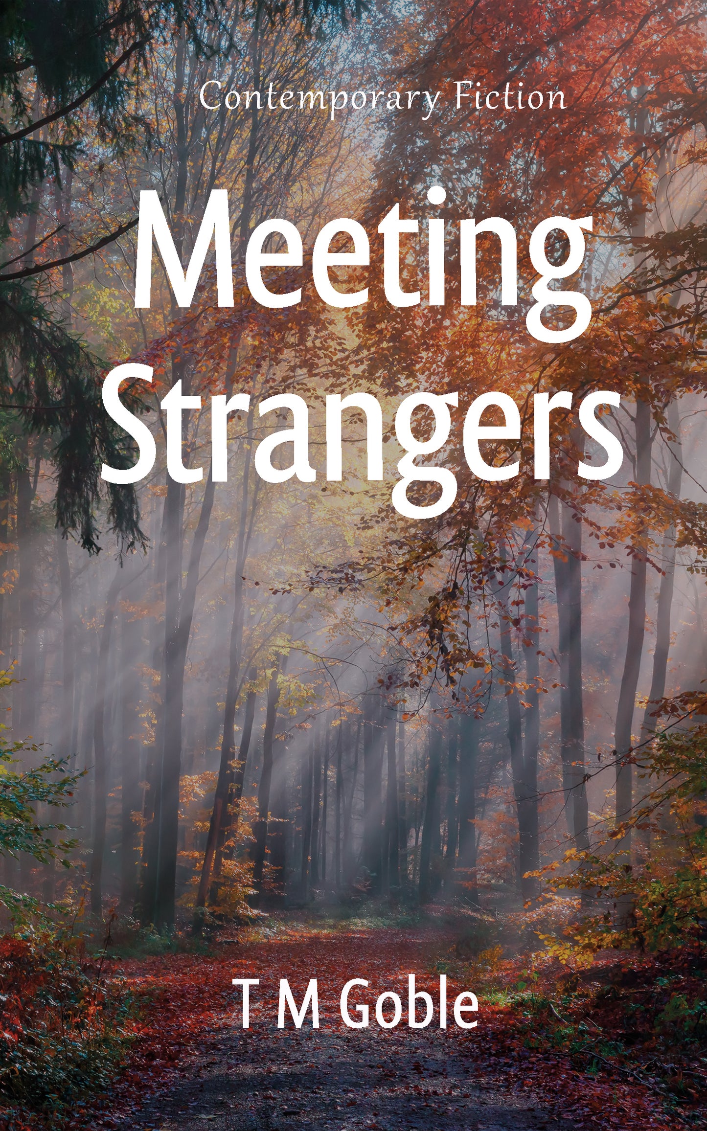 Meeting Strangers